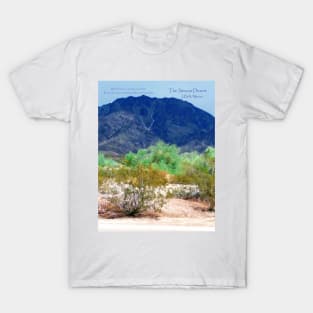 Rain in the Desert T-Shirt